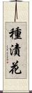 種漬花 Scroll