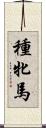 種牝馬 Scroll