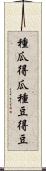 種瓜得瓜，種豆得豆 Scroll