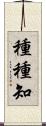 種種知 Scroll