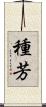 種芳 Scroll