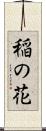 稲の花 Scroll