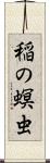 稲の螟虫 Scroll