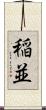 稲並 Scroll