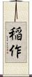 稲作 Scroll