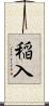 稲入 Scroll