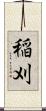 稲刈 Scroll