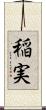 稲実 Scroll
