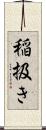 稲扱き Scroll