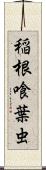 稲根喰葉虫 Scroll