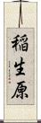 稲生原 Scroll