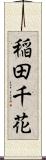 稲田千花 Scroll