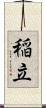 稲立 Scroll