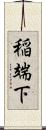 稲端下 Scroll