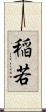 稲若 Scroll