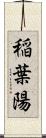 稲葉陽 Scroll