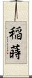 稲蒔 Scroll