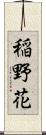 稲野花 Scroll