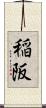稲阪 Scroll