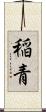 稲青 Scroll