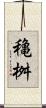 穐桝 Scroll