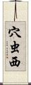 穴虫西 Scroll