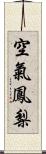 空氣鳳梨 Scroll