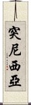 突尼西亞 Scroll