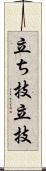 立ち技;立技 Scroll