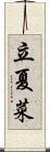 立夏菜 Scroll
