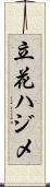 立花ハジメ Scroll