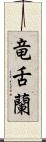 竜舌蘭 Scroll