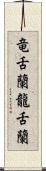 竜舌蘭 Scroll