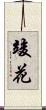 竣花 Scroll