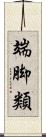 端脚類 Scroll