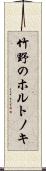 竹野のホルトノキ Scroll