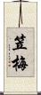 笠梅 Scroll
