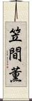 笠間薫 Scroll