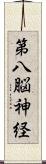第八脳神経 Scroll