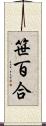 笹百合 Scroll