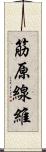 筋原線維 Scroll