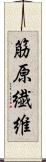 筋原繊維 Scroll