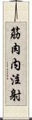 筋肉内注射 Scroll