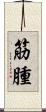 筋腫 Scroll
