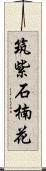 筑紫石楠花 Scroll