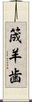 筬羊歯 Scroll