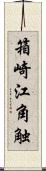 箱崎江角触 Scroll