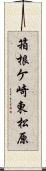 箱根ケ崎東松原 Scroll