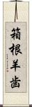 箱根羊歯 Scroll