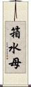 箱水母 Scroll